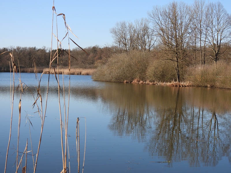 Ratschendorf quer (20)