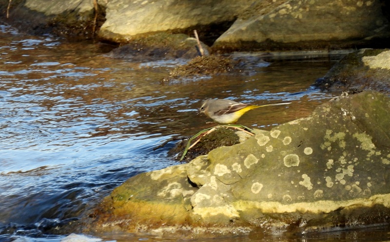 Ratschendorf quer (26)