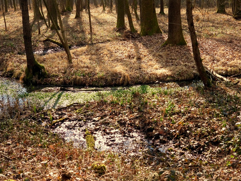 Ratschendorf quer (6)