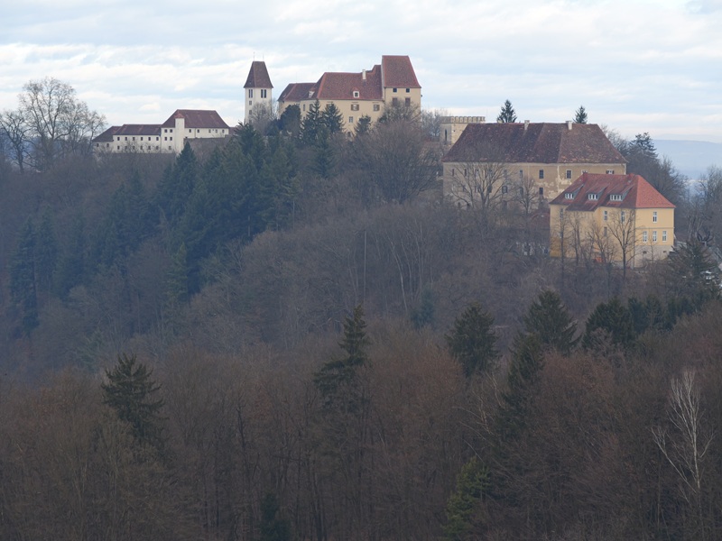 Seggauberg quer (22)