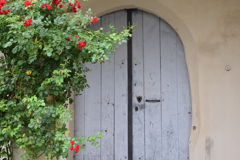 Seggauberg quer (24)