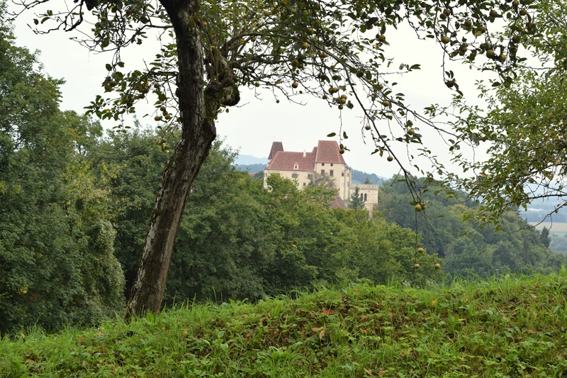 Seggauberg quer (25)