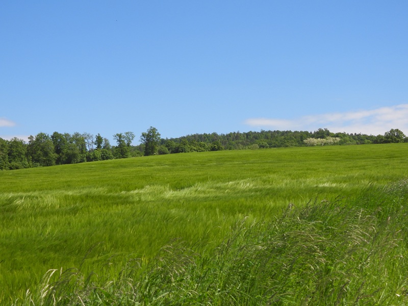 Stadtschlaining quer (11)