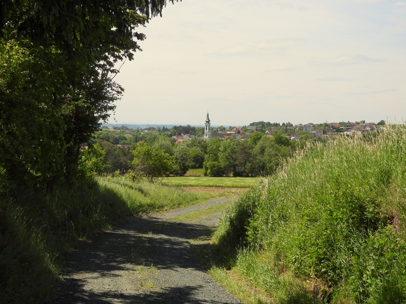 Stadtschlaining quer (13)