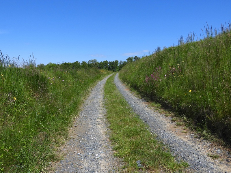 Stadtschlaining quer (14)