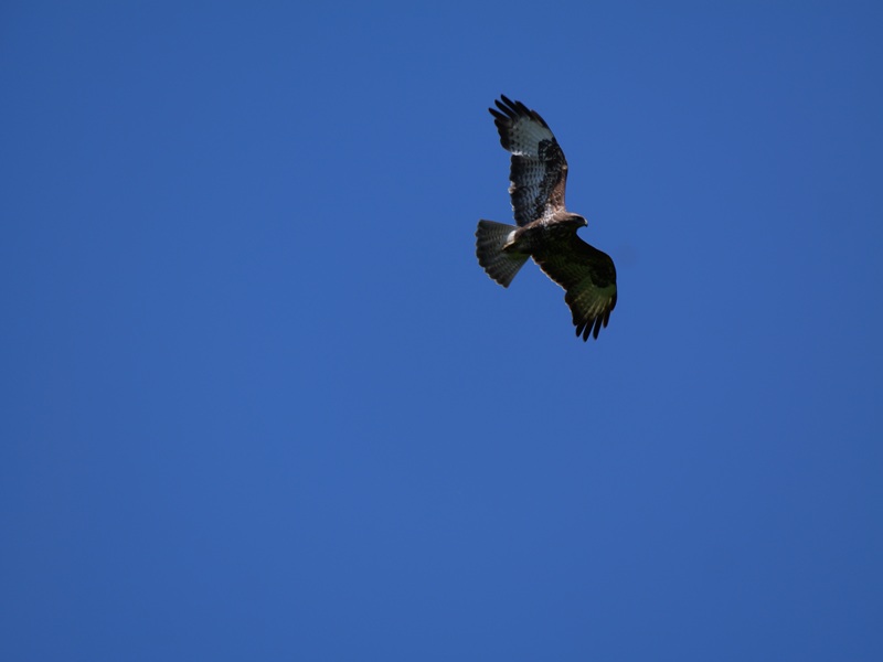 Stadtschlaining quer (2)