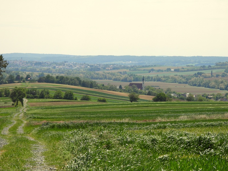 Stadtschlaining quer (20)