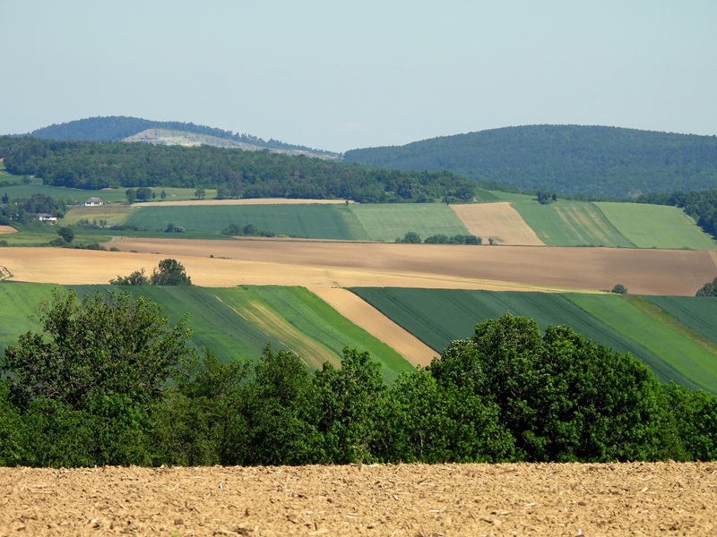 Stadtschlaining quer (22)