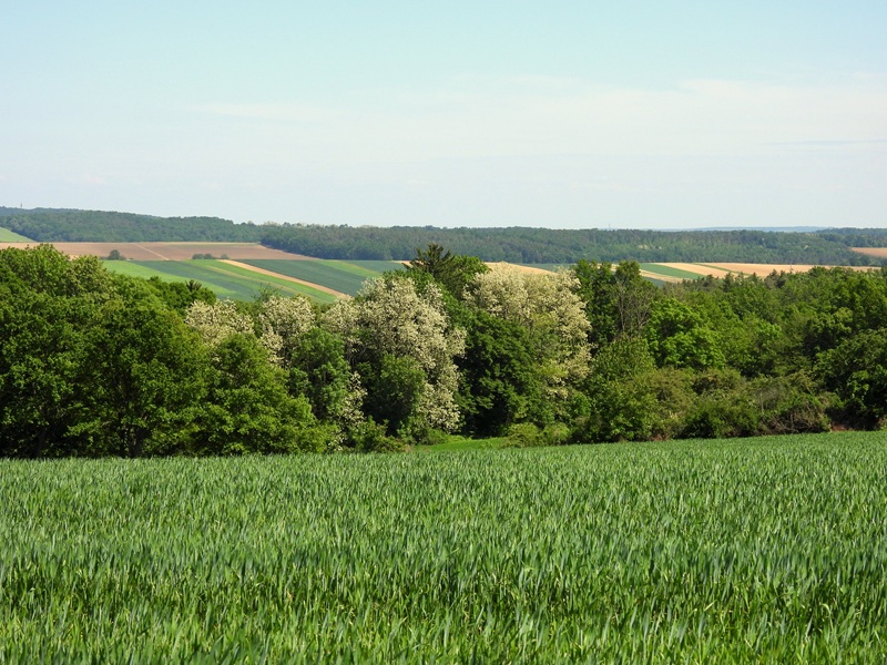 Stadtschlaining quer (24)