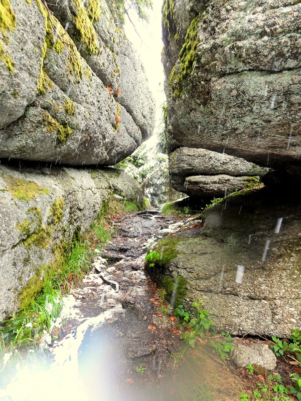 Tanner Moor hoch (1)