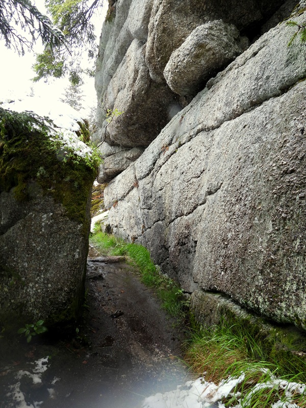 Tanner Moor hoch (10)