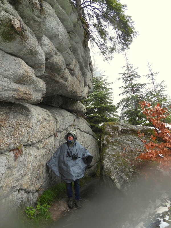 Tanner Moor hoch (11)