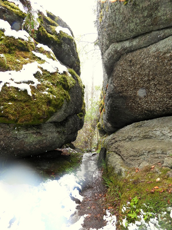 Tanner Moor hoch (2)