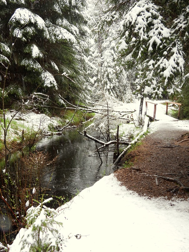 Tanner Moor hoch (3)