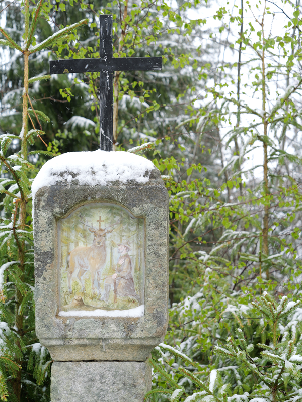 Tanner Moor hoch (4)