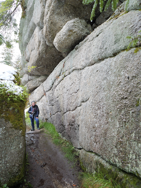 Tanner Moor hoch (5)