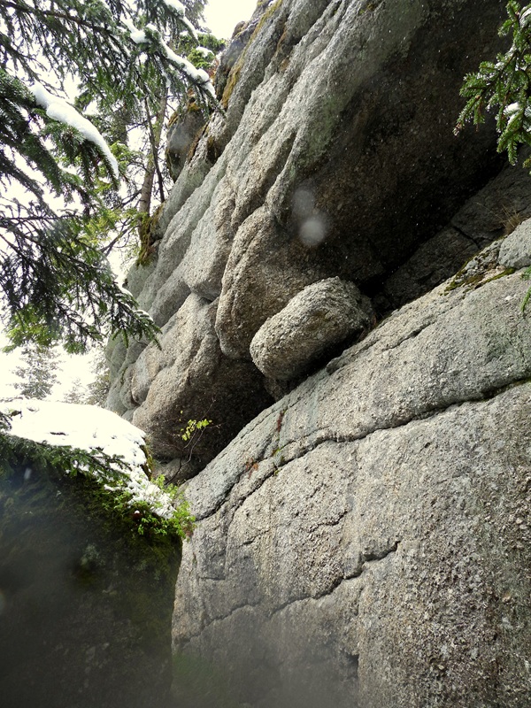 Tanner Moor hoch (9)