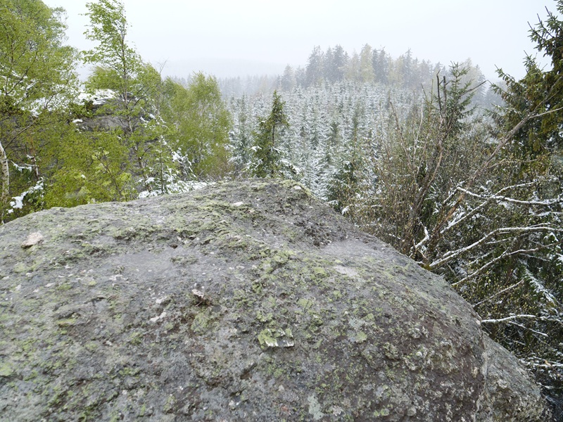 Tanner Moor quer (10)