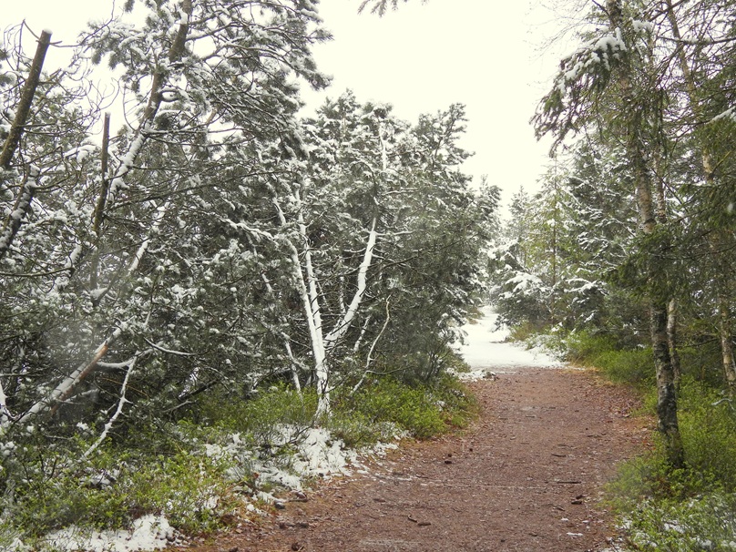 Tanner Moor quer (12)