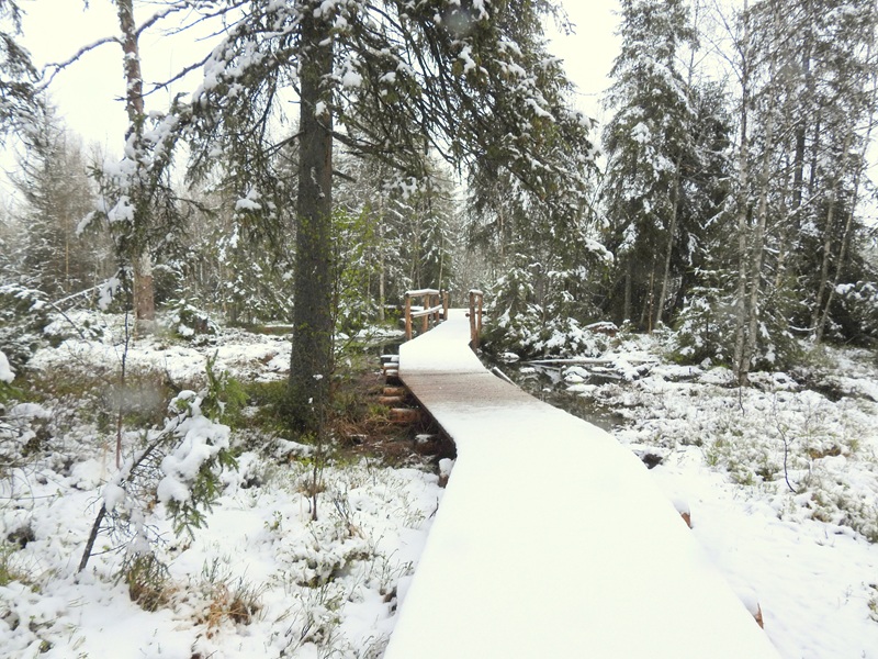 Tanner Moor quer (14)