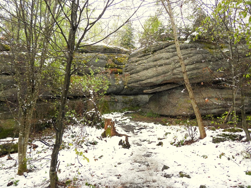 Tanner Moor quer (17)