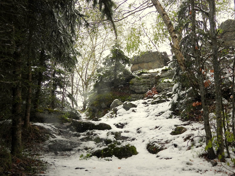 Tanner Moor quer (18)