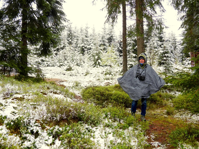 Tanner Moor quer (2)