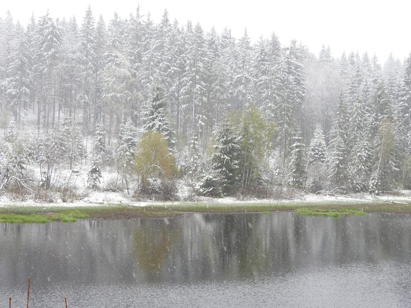 Tanner Moor quer (21)