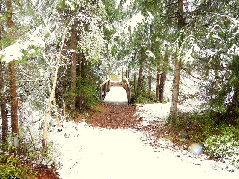 Tanner Moor quer (3)