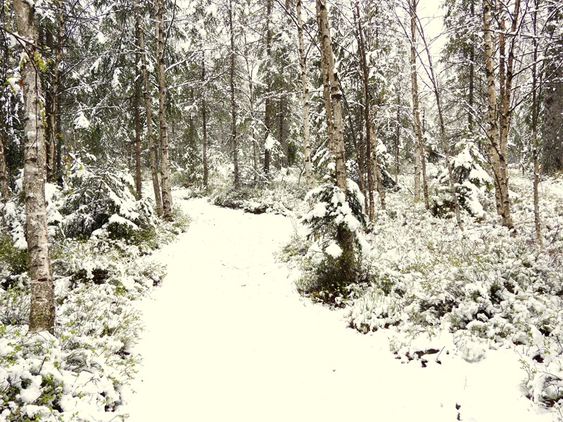 Tanner Moor quer (4)