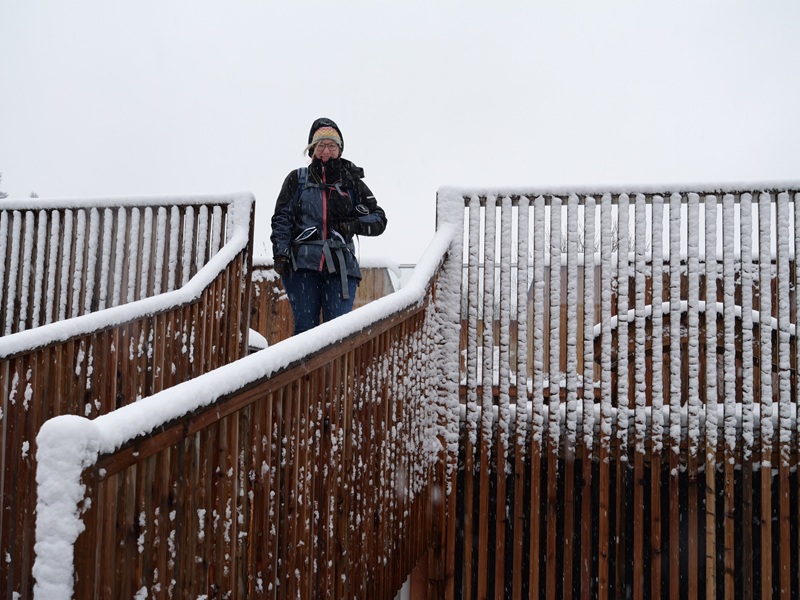 Tanner Moor quer (7)