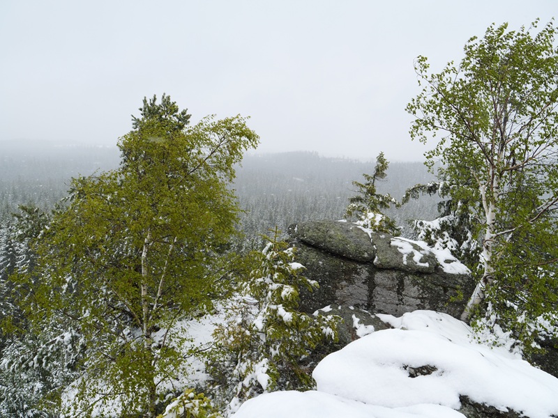 Tanner Moor quer (9)