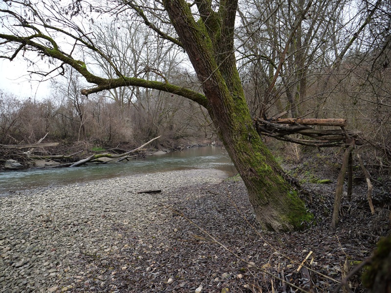 Weitendorf quer (11)