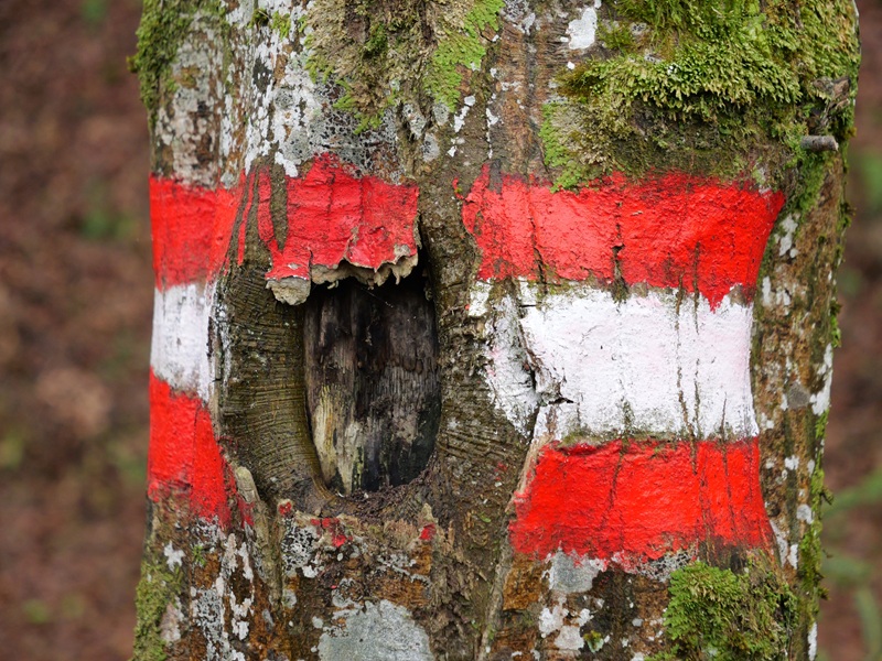 Weitendorf quer (12)