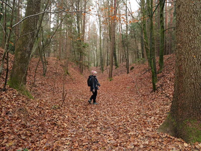 Weitendorf quer (14)