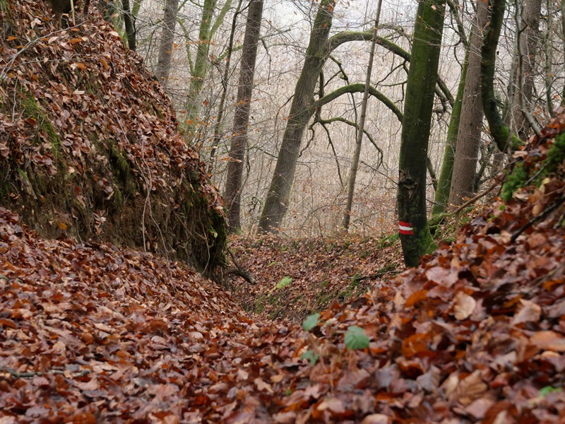 Weitendorf quer (15)