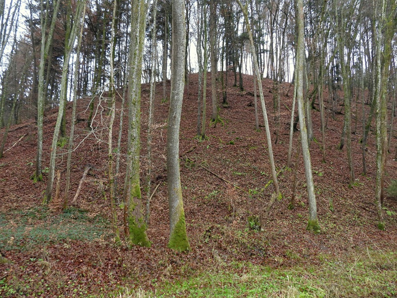 Weitendorf quer (20)