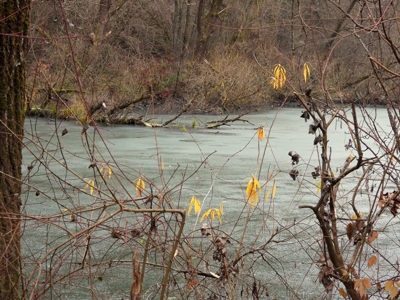 Weitendorf quer (21)