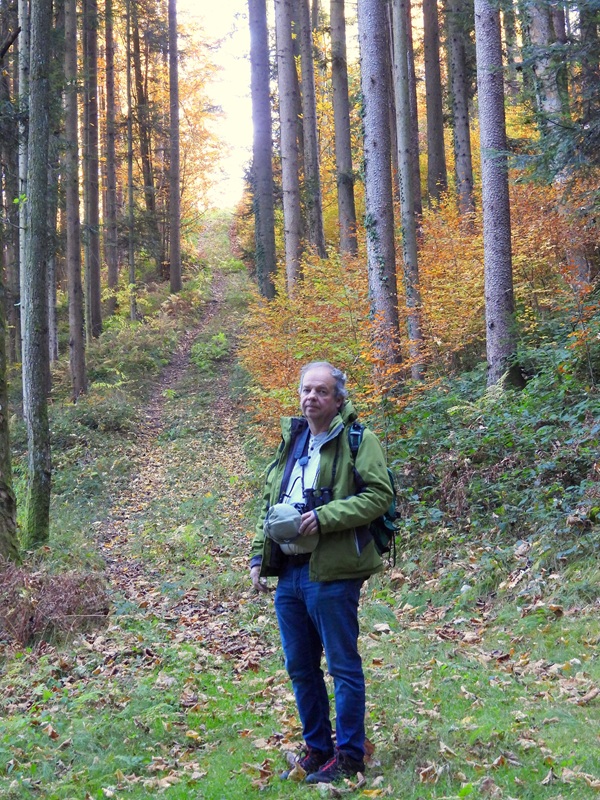Wildbach hoch (4)