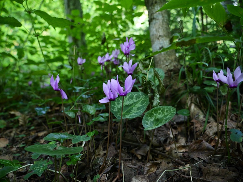 Kesselfall quer (14)