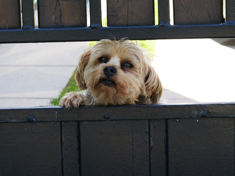 Lockenhaus quer (23)