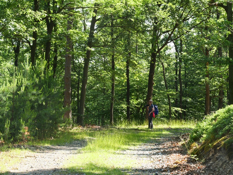 Lockenhaus quer (25)