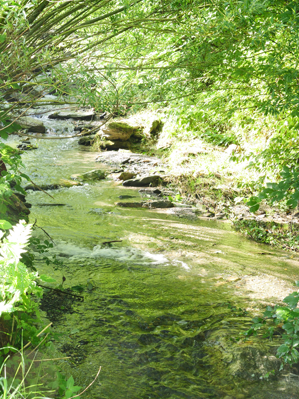 Mühlentalweg hoch (2)