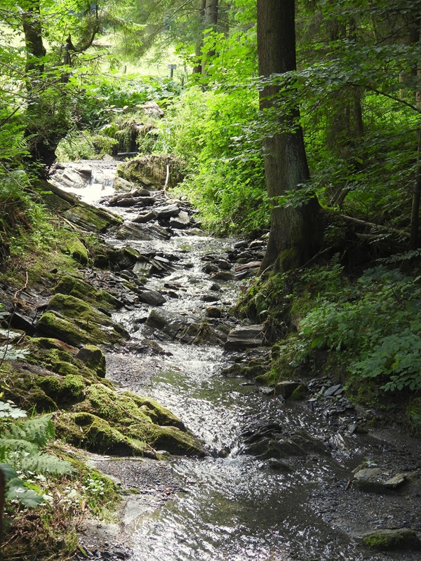 Mühlentalweg hoch (3)