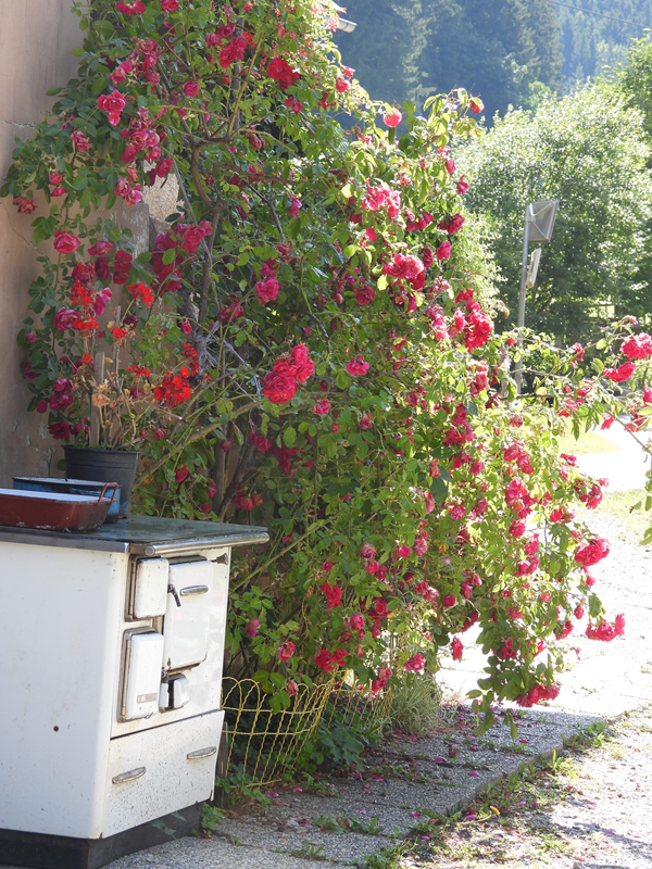 Mühlentalweg hoch (6)