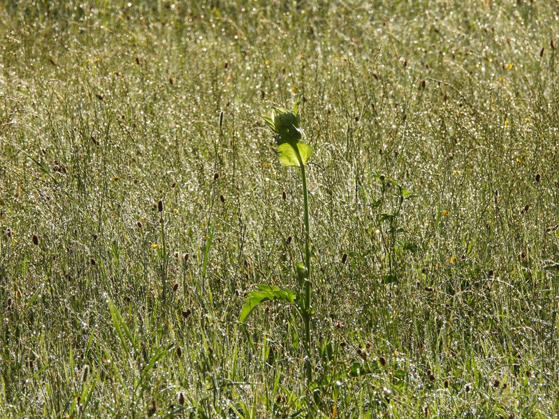 St.Kathrein quer (29)