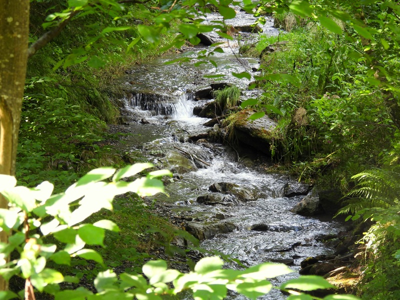 St.Kathrein quer (4)