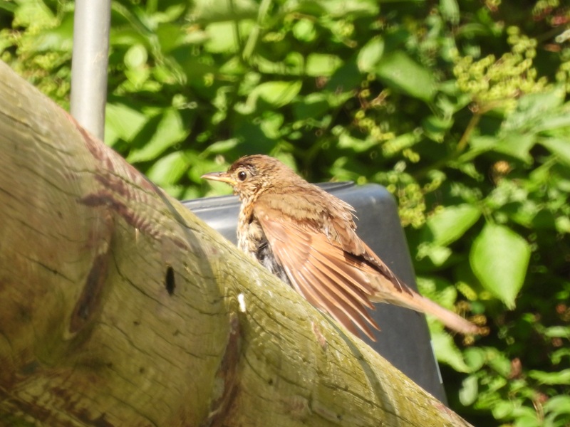 St.Kathrein quer (7)