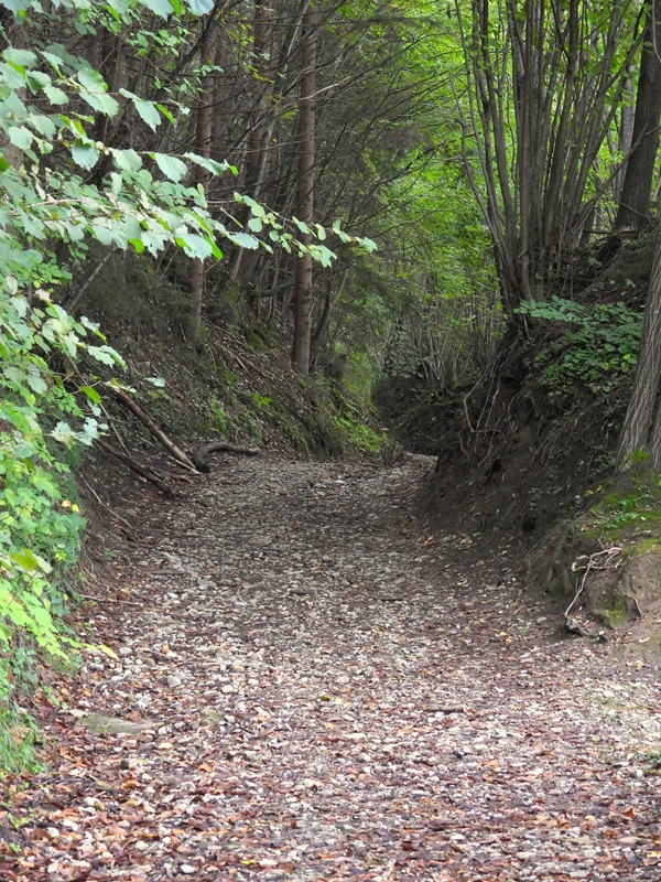 Bärnbach hoch (8)