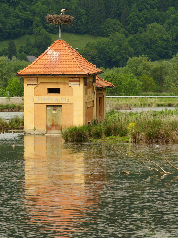 Bleistätter Moor hoch (1)